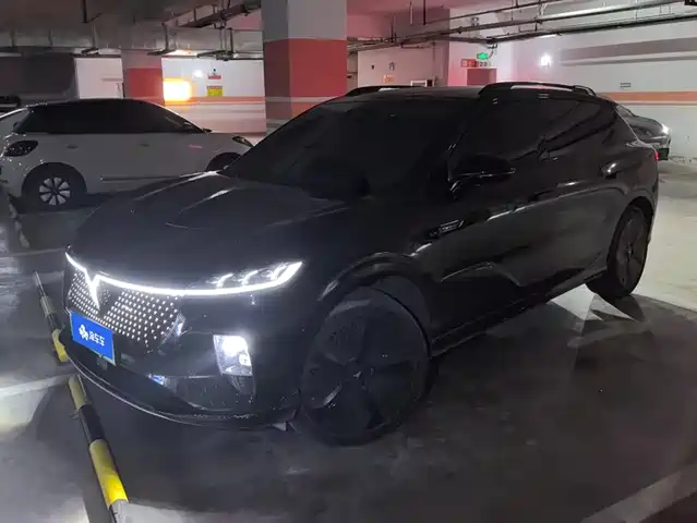 VOYAH zhiyin
