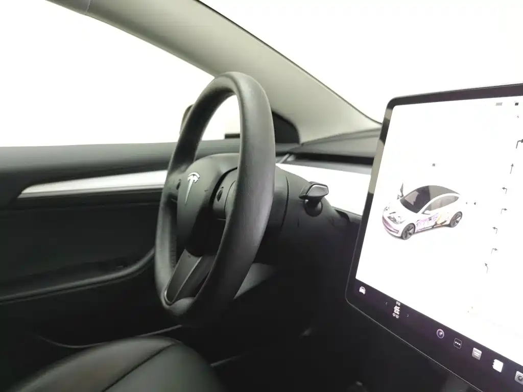 Tesla Model 3 — миниатюра 22