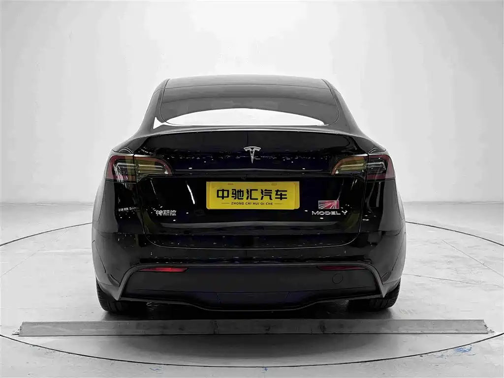 Tesla Model Y — миниатюра 19