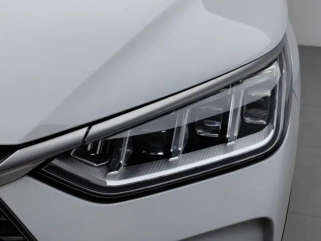 BYD PLUS — миниатюра 7