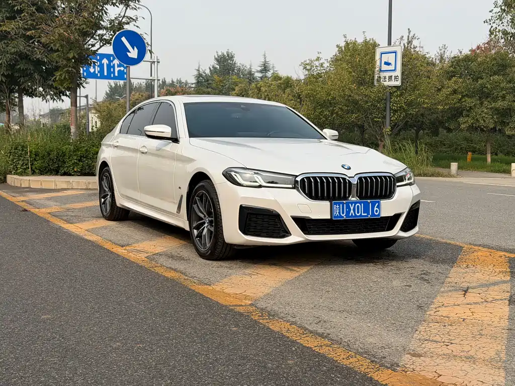 BMW 5 Series — миниатюра 3