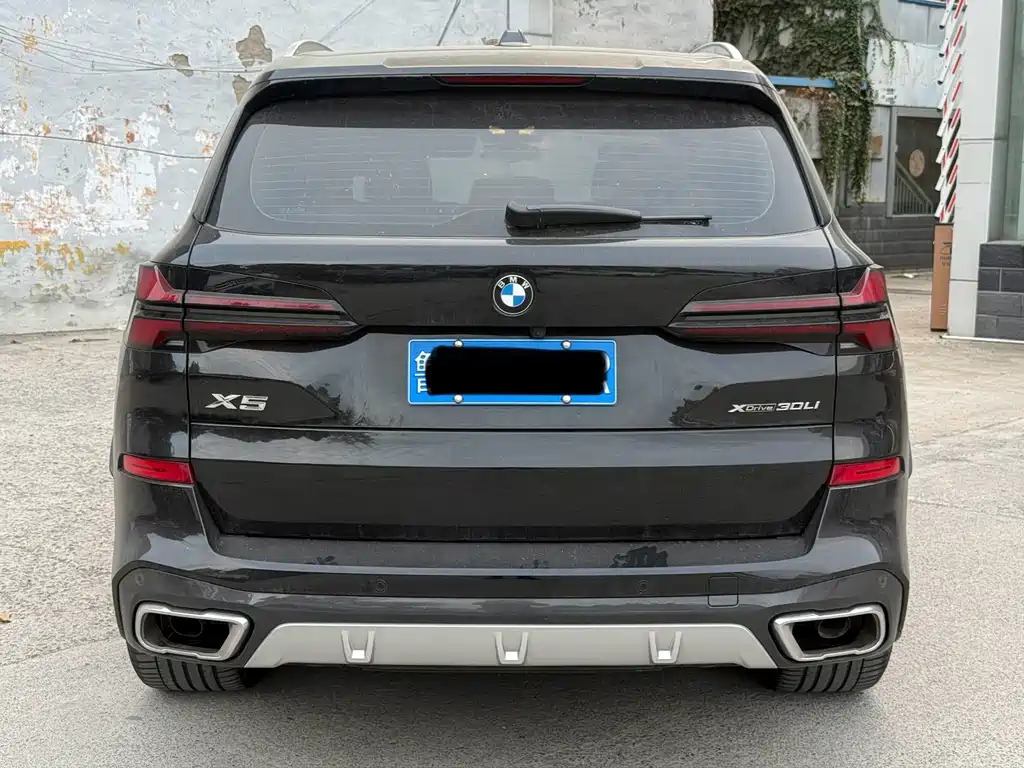 BMW X5 — миниатюра 3