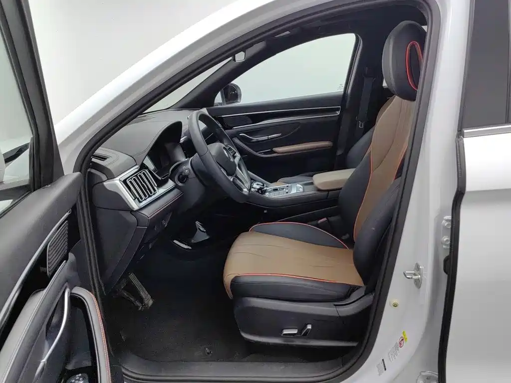 BYD PLUS — миниатюра 10