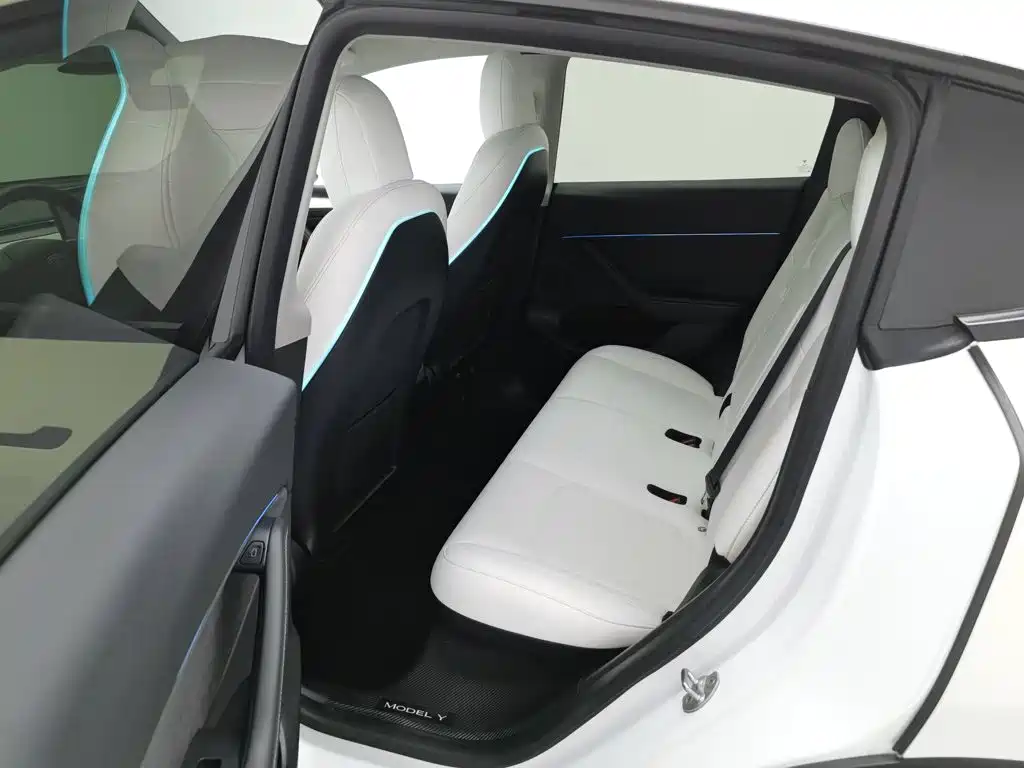 Tesla Model Y — миниатюра 15