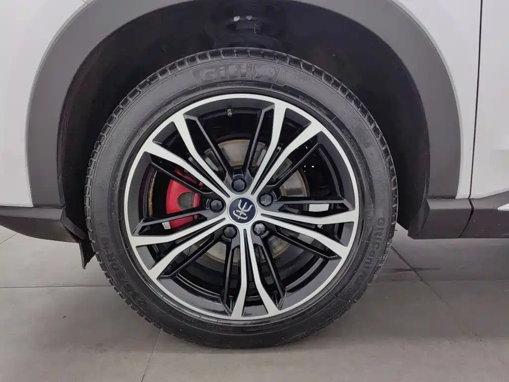BYD PLUS — миниатюра 17