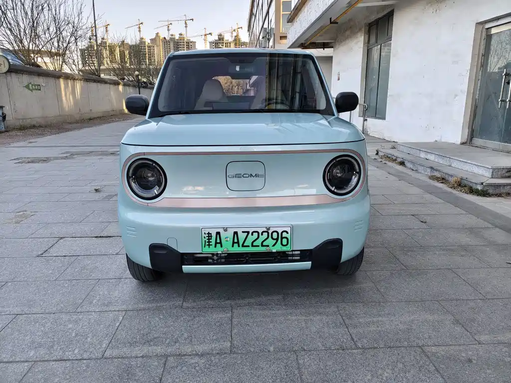 Galaxy Panda 2024