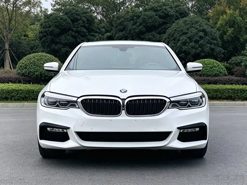 BMW 5 Series — миниатюра 12