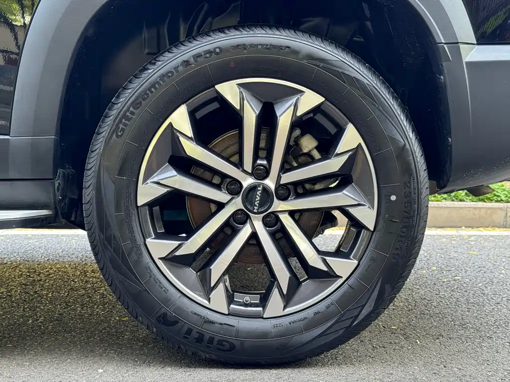 Haval Big Dog - фото 16