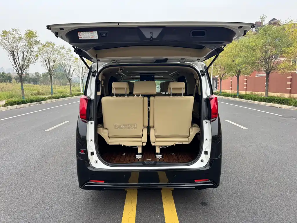 Toyota Alphard — миниатюра 24