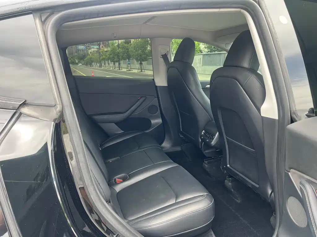 Tesla Model Y — миниатюра 14