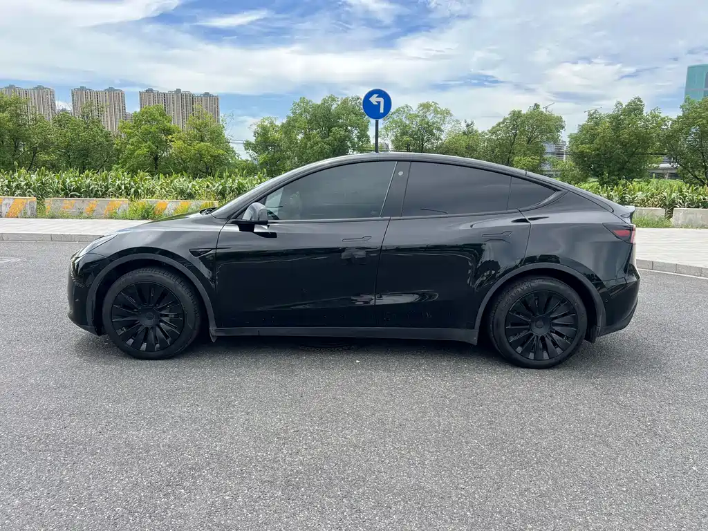 Tesla Model Y — миниатюра 4