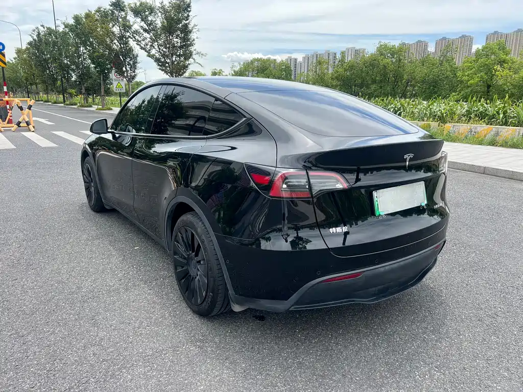 Tesla Model Y — миниатюра 6