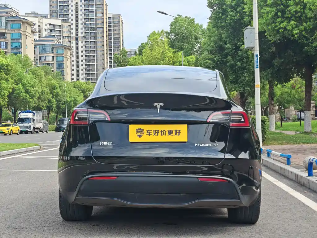 Tesla Model Y — миниатюра 13