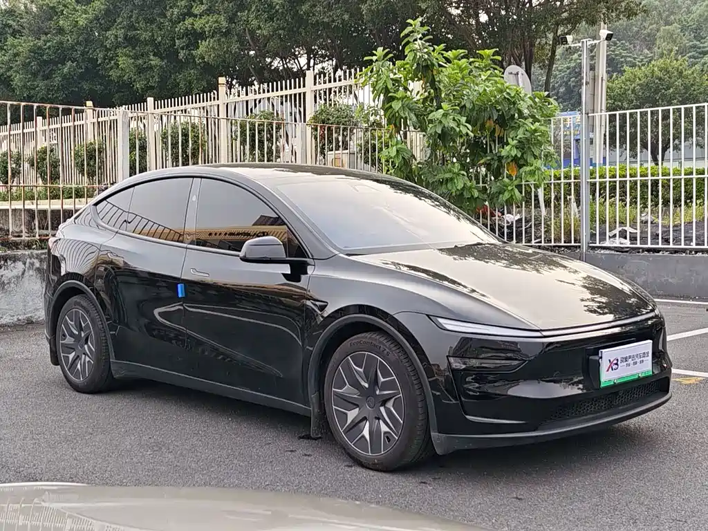 Tesla Model Y L — миниатюра 2
