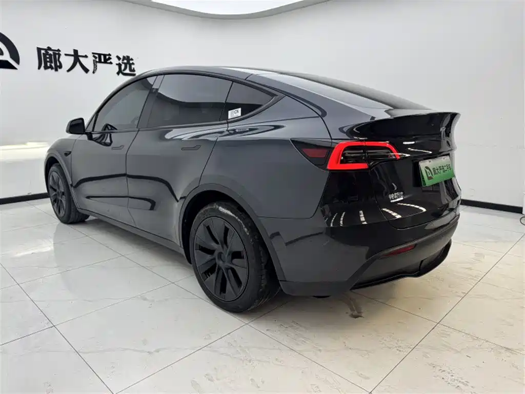 Tesla Model Y — миниатюра 5