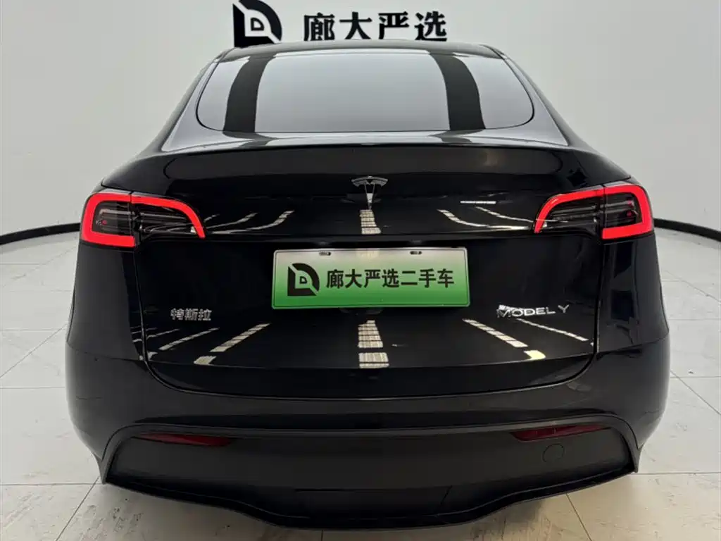 Tesla Model Y — миниатюра 4