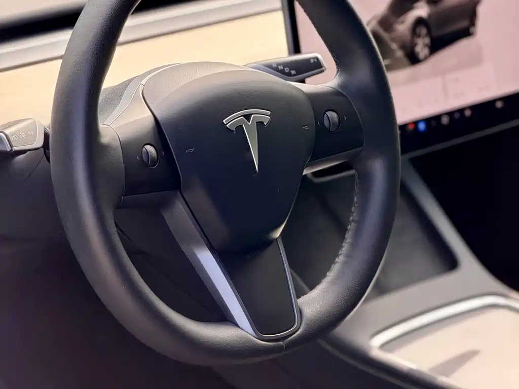 Tesla Model Y — миниатюра 6