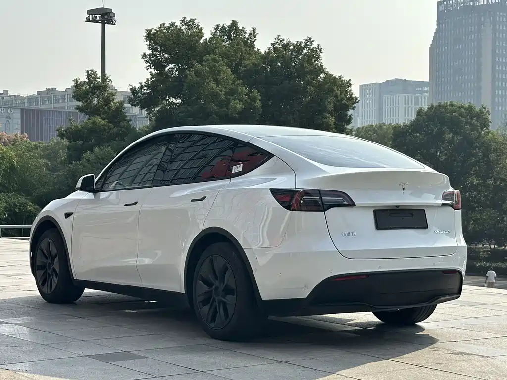 Tesla Model Y — миниатюра 4