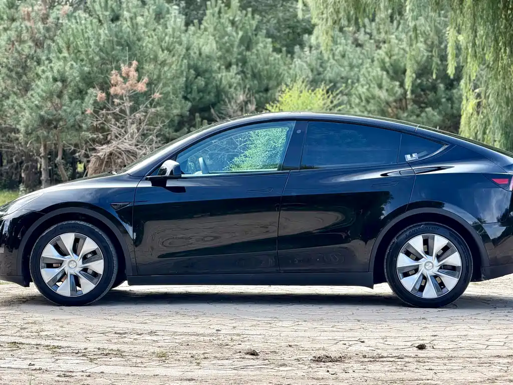 Tesla Model Y — миниатюра 13