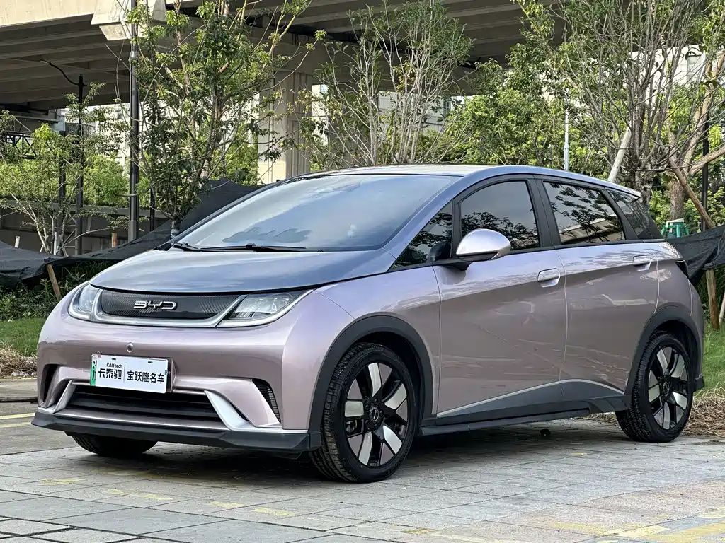 BYD Dolphin