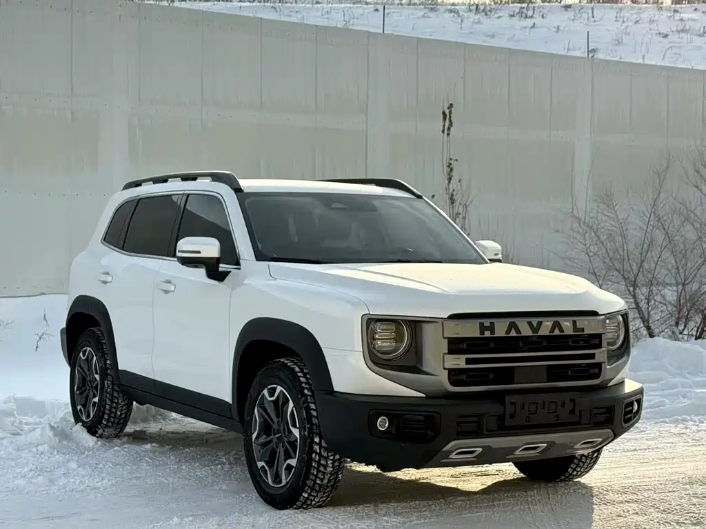 HAVAL BIG DOG