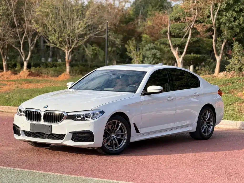BMW 5 Series (Import)