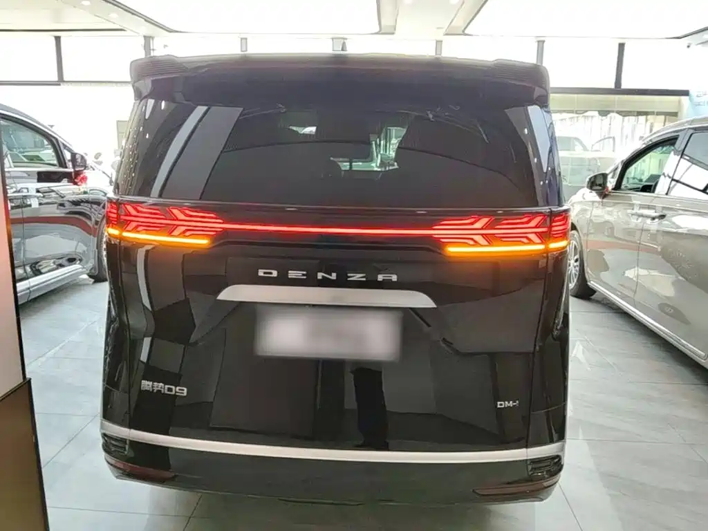 Denza Denza D9 — миниатюра 6