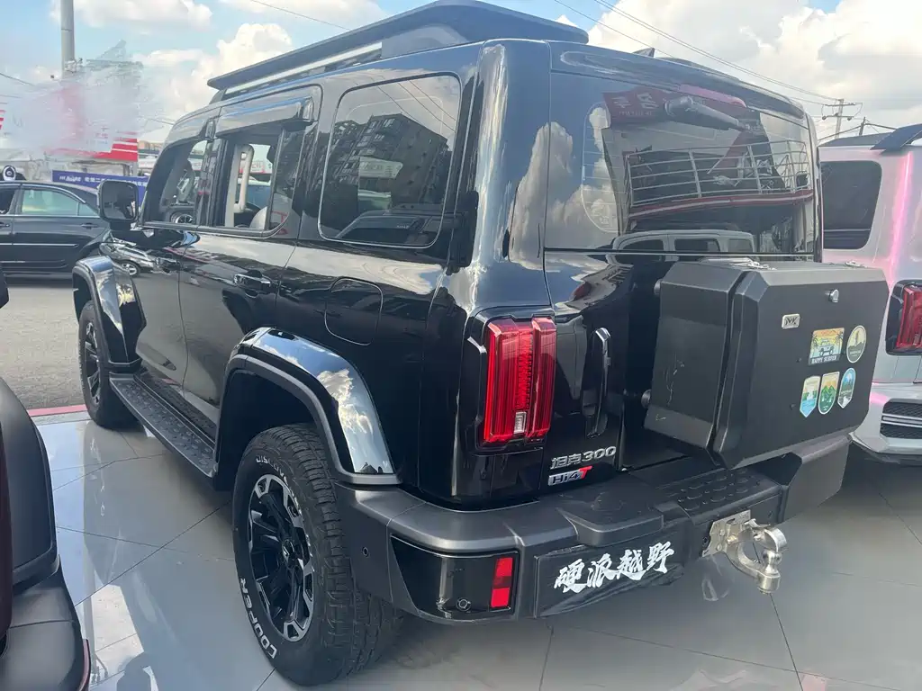 TANK TANK 300 NEW ENERGY