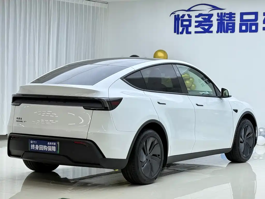 Tesla Model Y — миниатюра 7