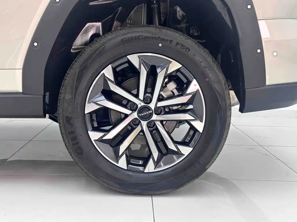 Haval Big Dog PLUS — миниатюра 7