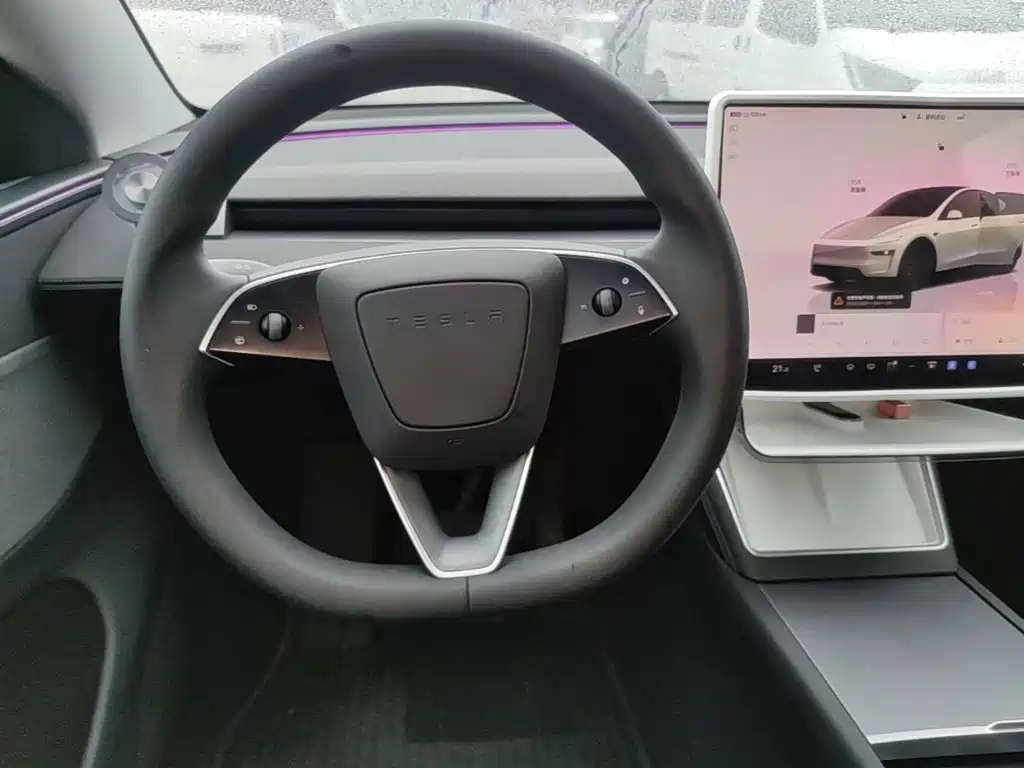Tesla Model Y — миниатюра 11