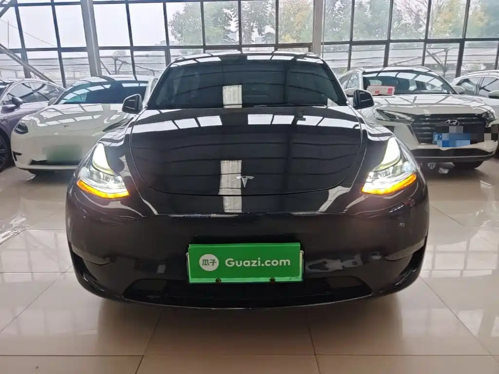 Tesla Model Y — миниатюра 3