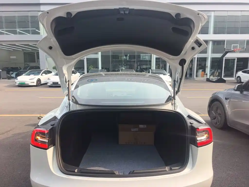 Tesla Model 3 — миниатюра 19