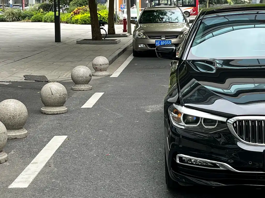 BMW 5 Series 5 2018 530Li Lead Luxury