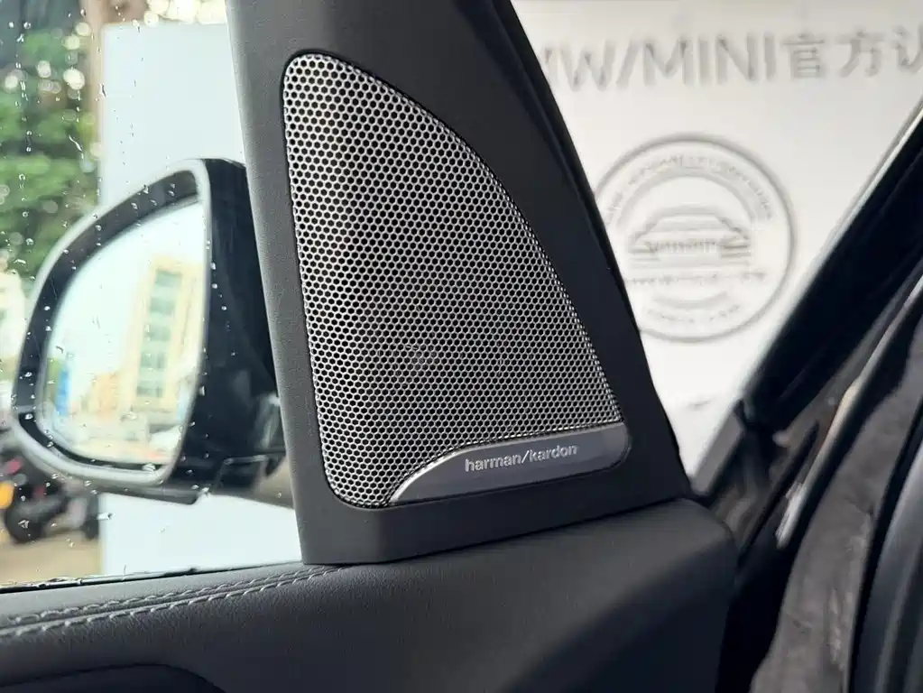 BMW X5 — миниатюра 10
