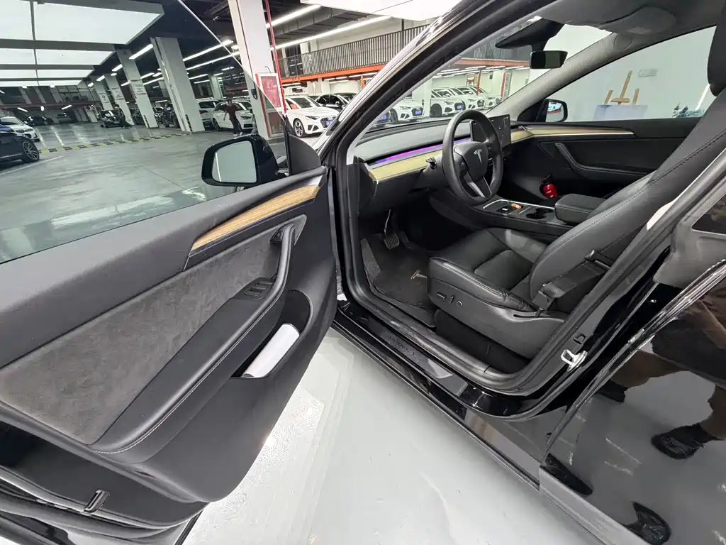 Tesla Model Y — миниатюра 8