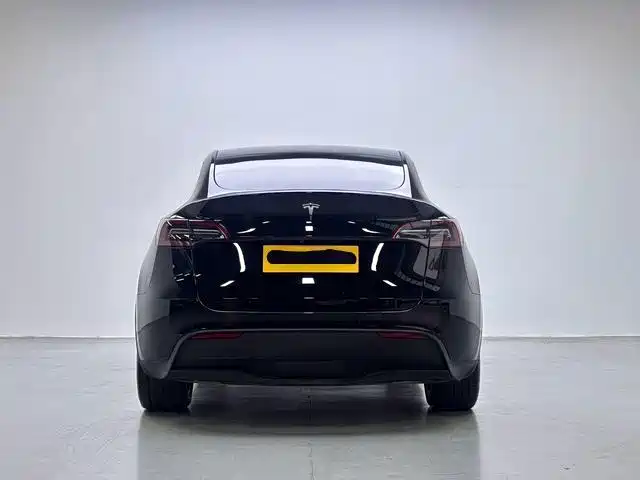 Tesla Model Y — миниатюра 8