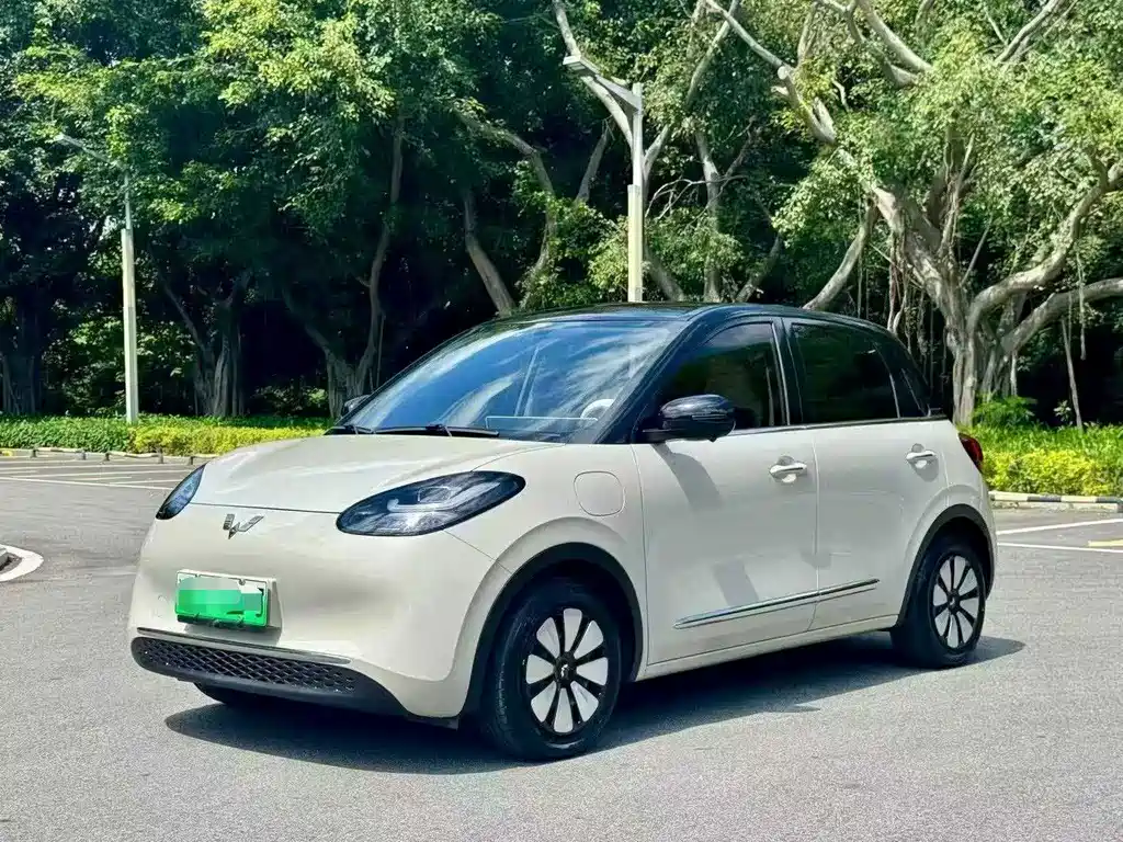 Wuling Bingo