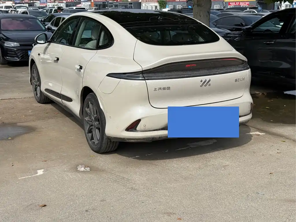 IM IM LS6 — миниатюра 6