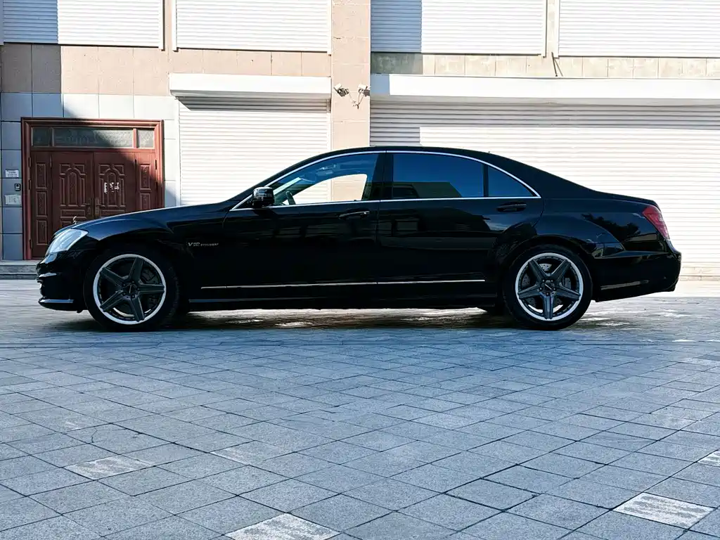 Mercedes-Benz S-Class A MG S AMG 2010 AMG S 65