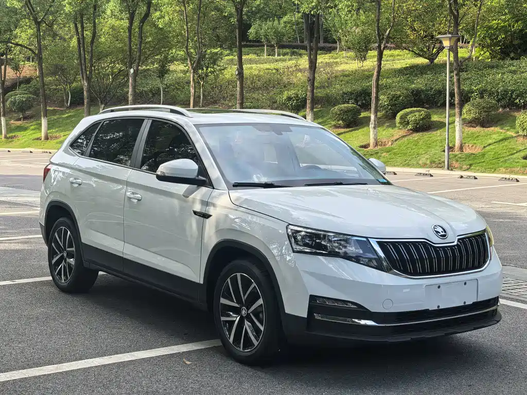 Skoda Kamiq — миниатюра 3