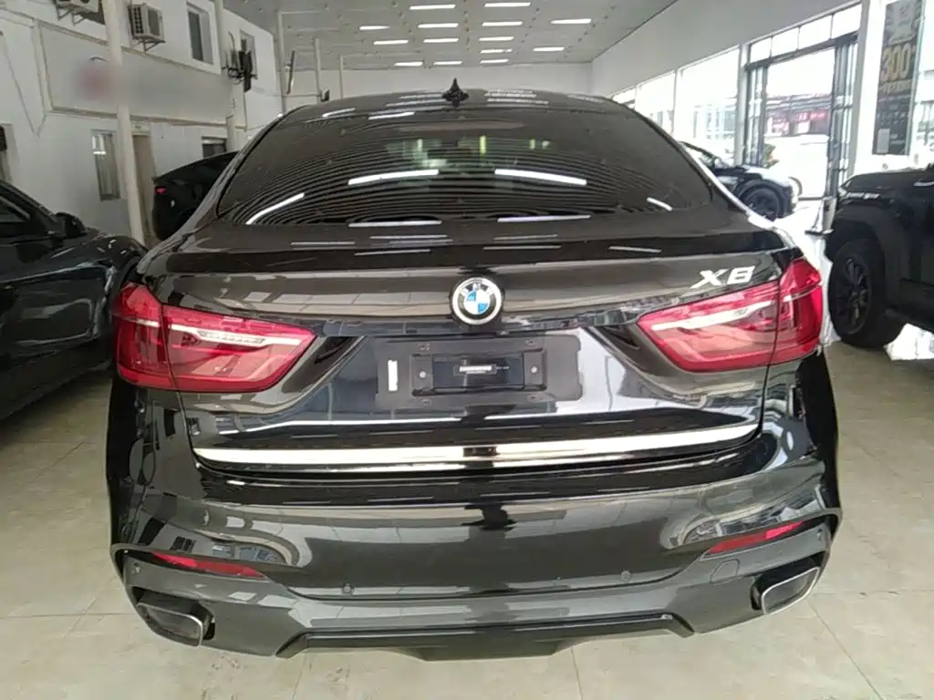 BMW X6 — миниатюра 6