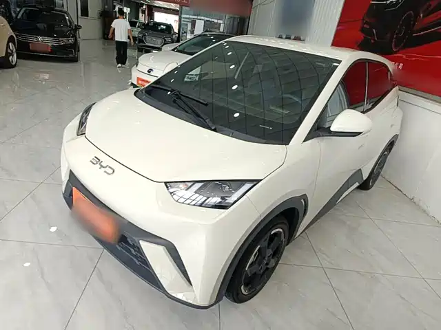 2024 BYD Seagull