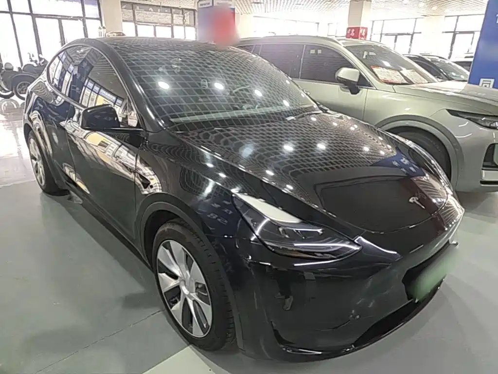 Tesla Model Y — миниатюра 4