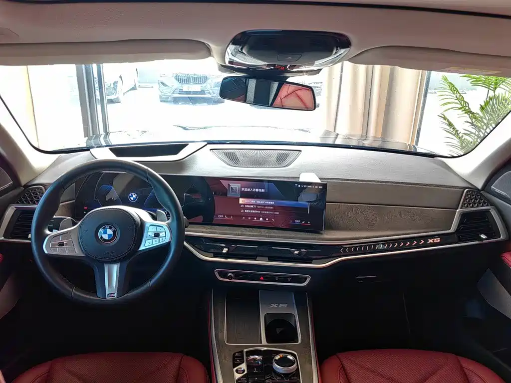 BMW X5 — миниатюра 8