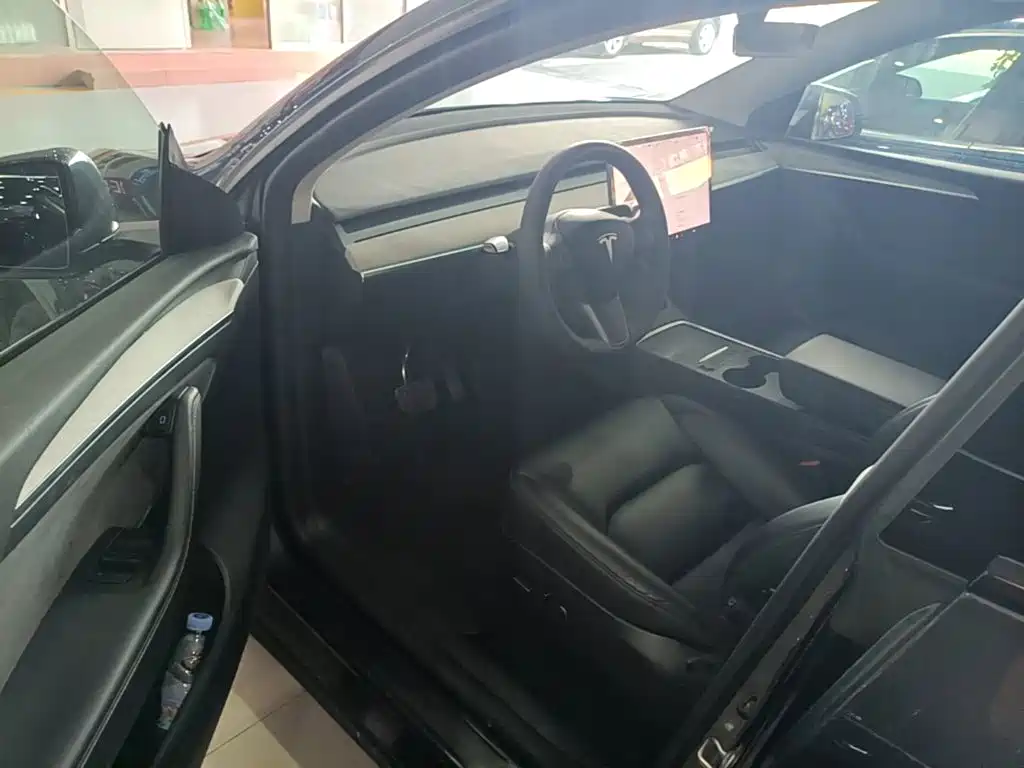Tesla Model Y — миниатюра 16