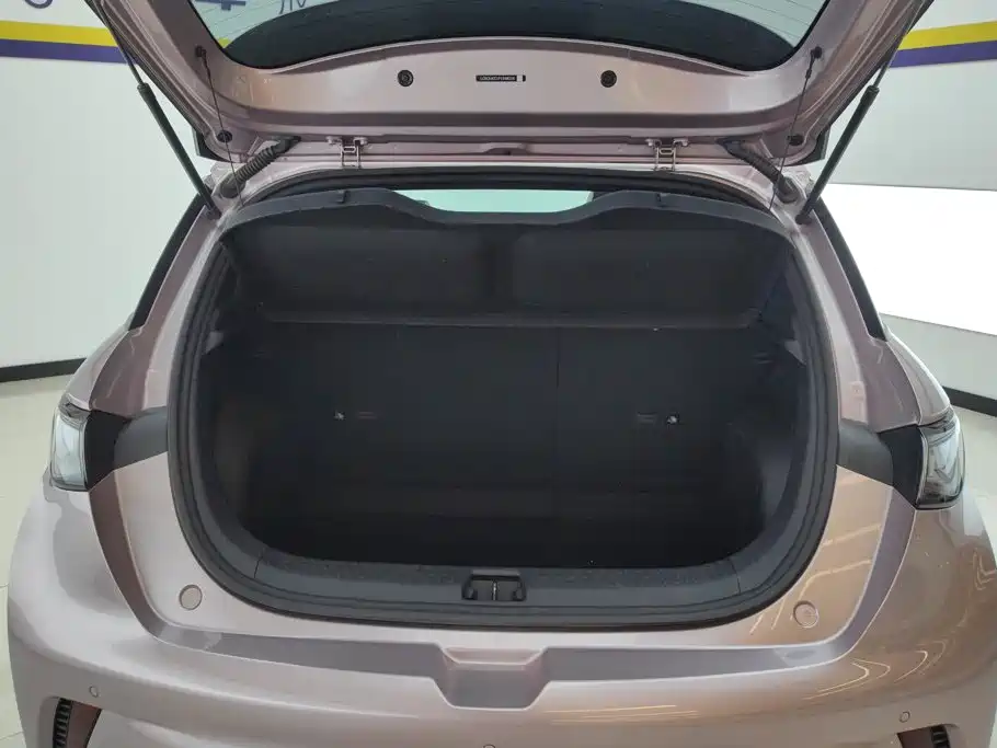 BYD Dolphin — миниатюра 4