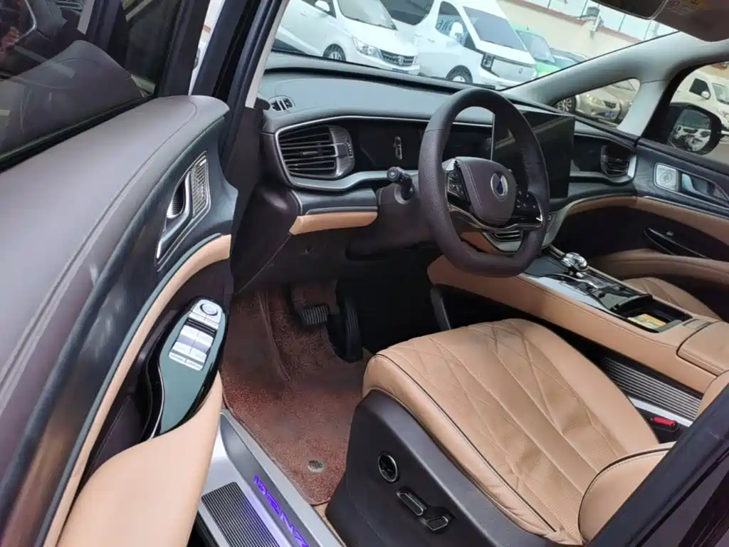 Denza Denza D9 — миниатюра 16
