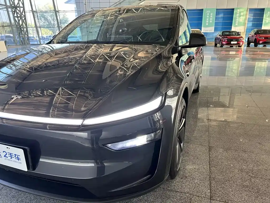 Tesla Model Y — миниатюра 29
