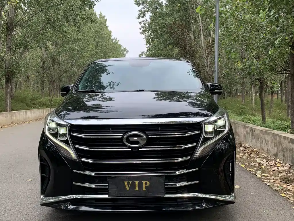 GAC Motor Trumpchi M8 — миниатюра 2